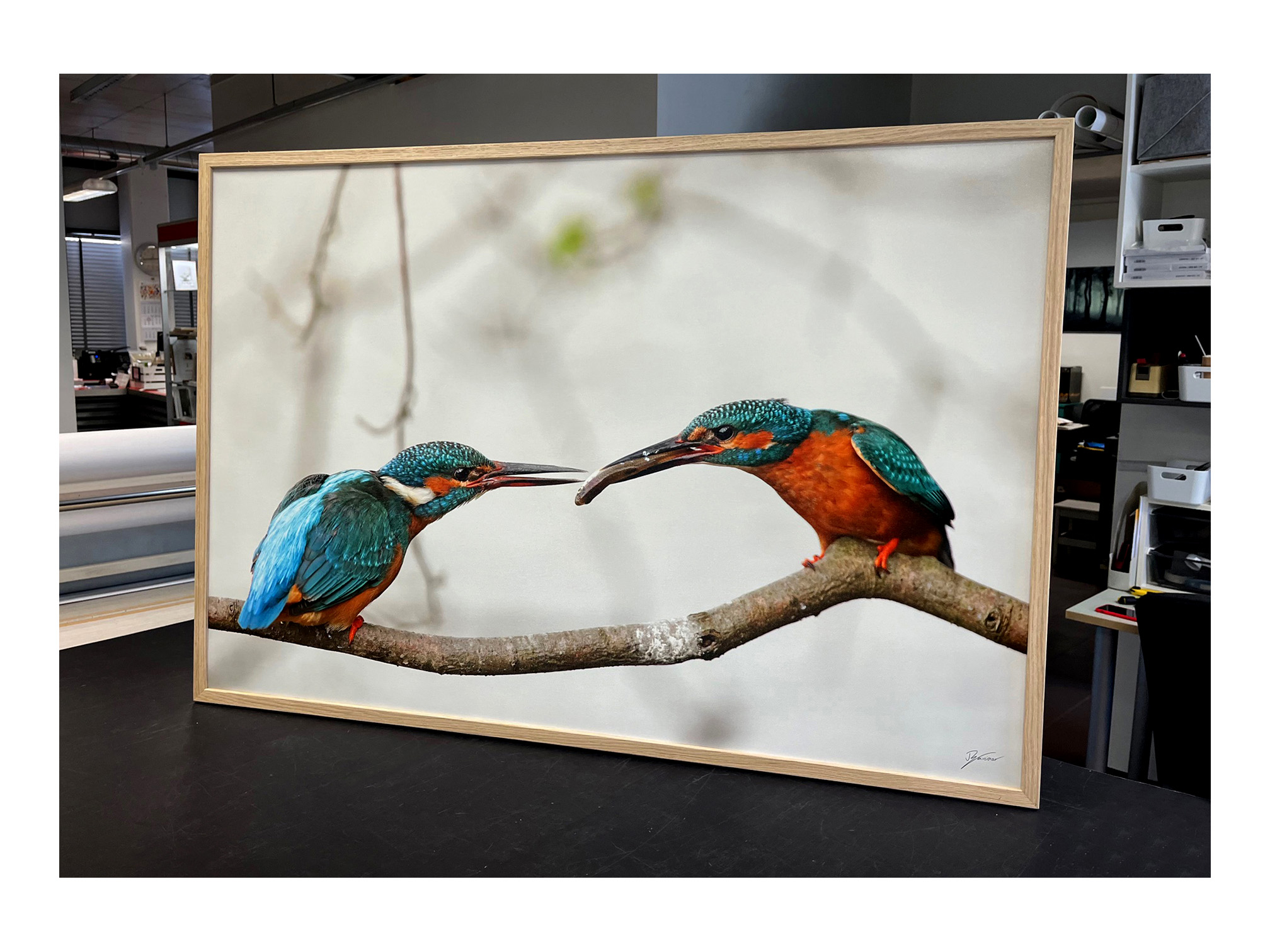 fotolõuend loodusfoto raamitud pilt canvas