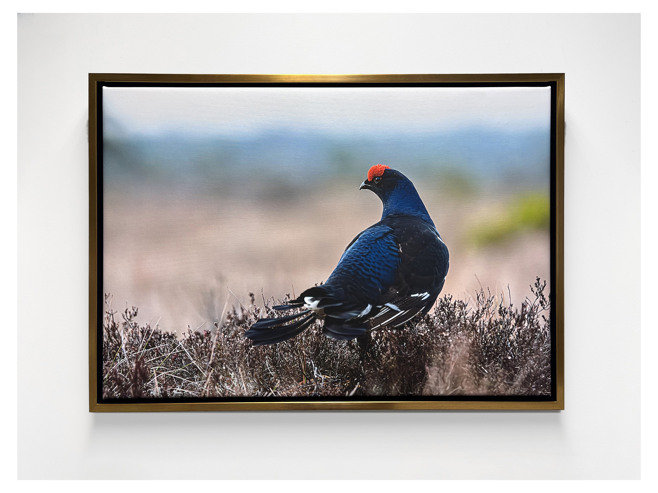 fotolõuend canvas raamitud lõuend