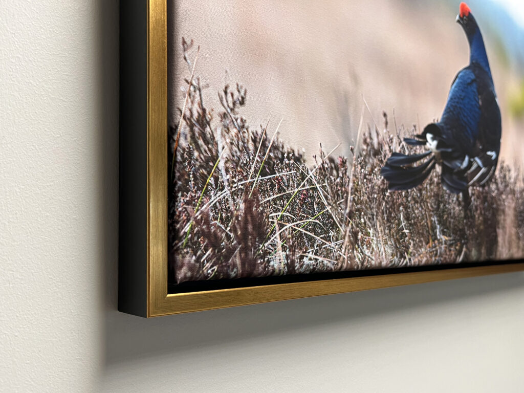 fotolõuend