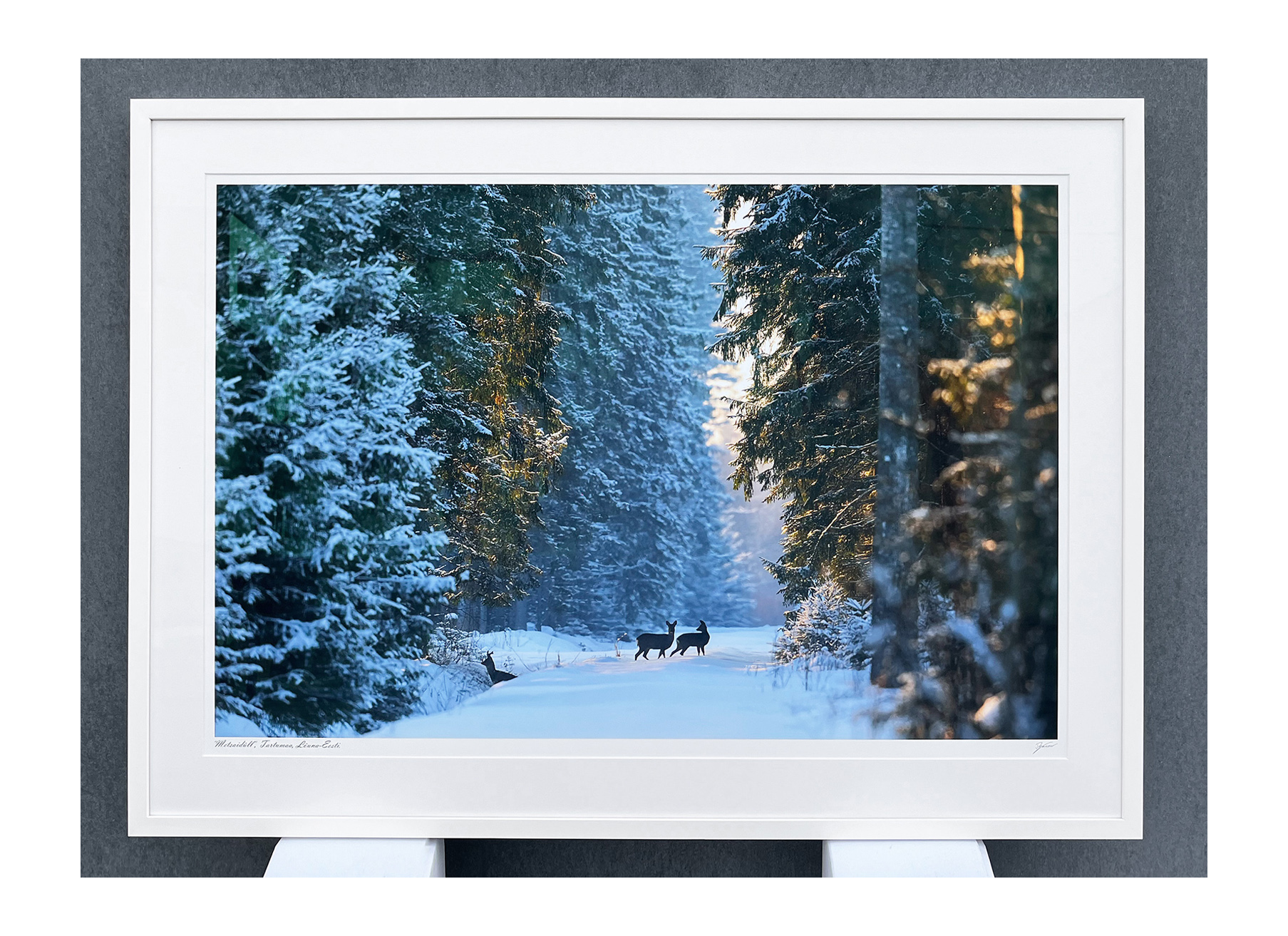 fotoraam raamitud pilt loodusfoto galeriiklaas paspartuu